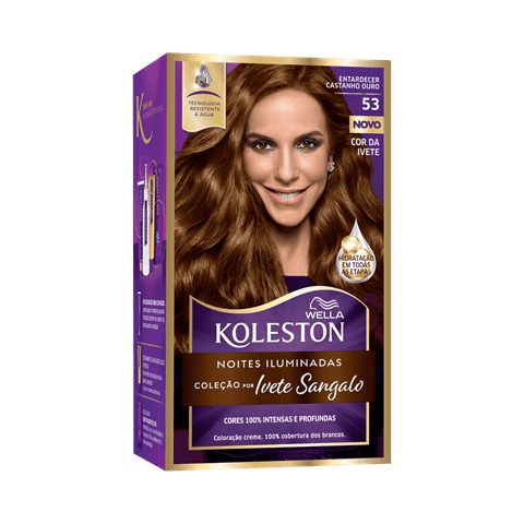 TINTA KOLESTON 53 CASTANHO OURO